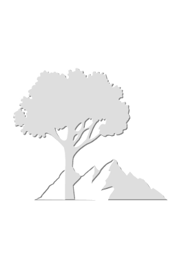 Nature, par Xavier E. G. Dierick
